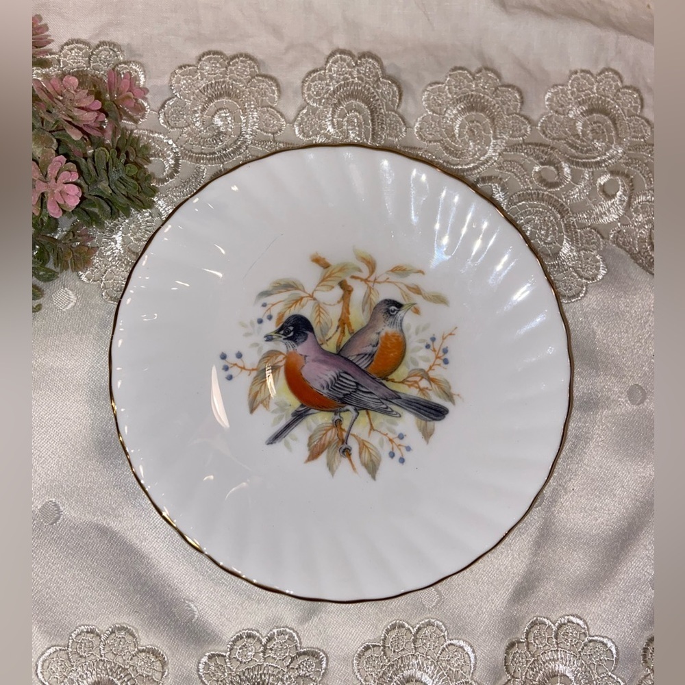 3/30$ Vintage Queens Rosina‎ Fine bone China Birds Of America Robin saucer